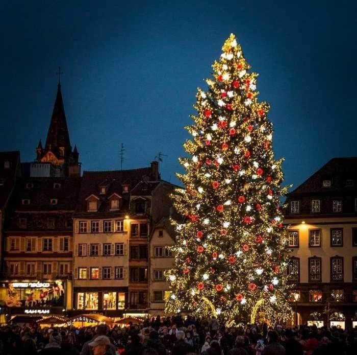 Gites Spa Strasbourg - La Villa 14 Furdenheim Екстер'єр фото